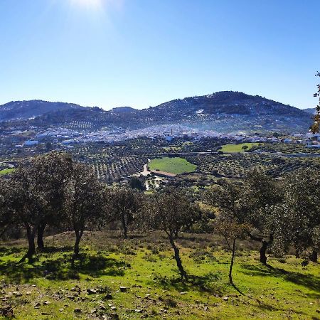 Casa Rural El Trepador Azul Cabeza la Vaca Εξωτερικό φωτογραφία