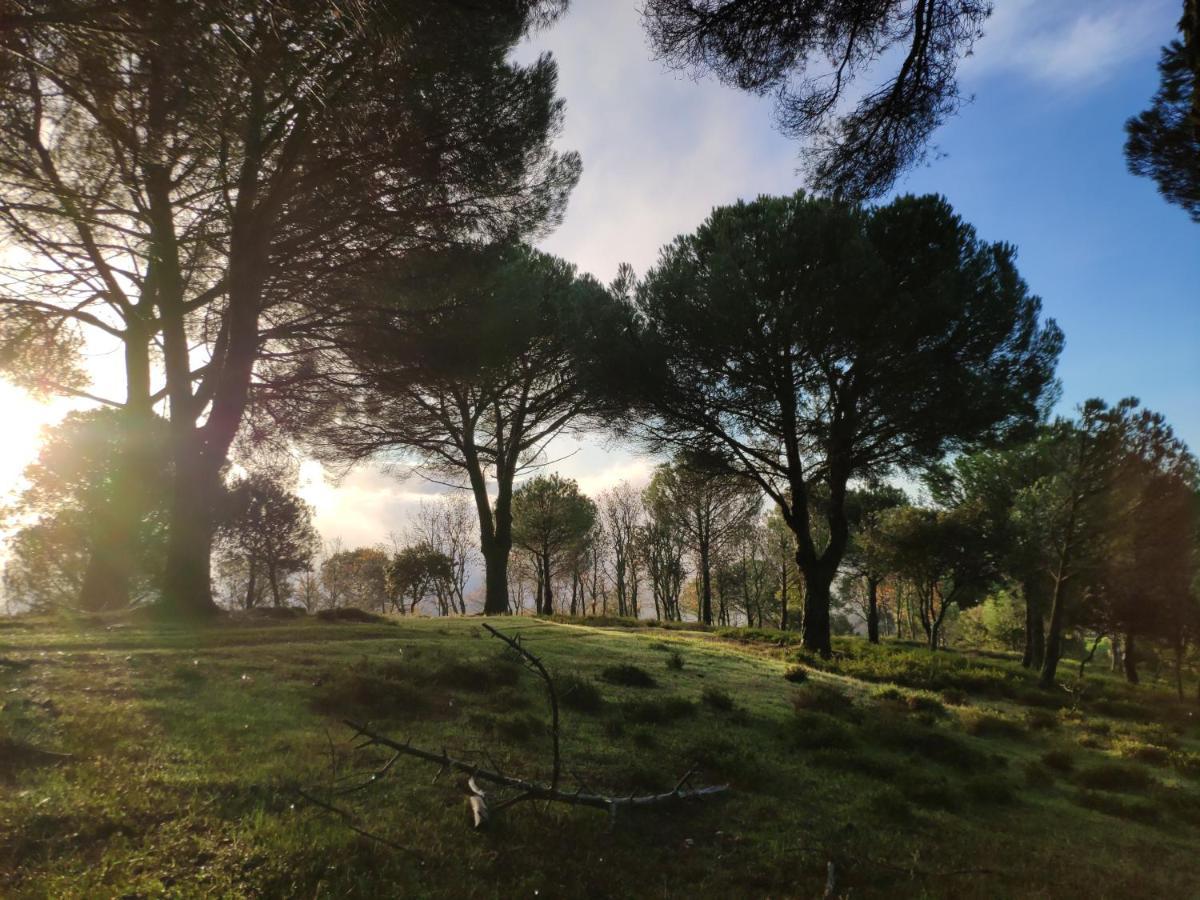 Casa Rural El Trepador Azul Cabeza la Vaca Εξωτερικό φωτογραφία